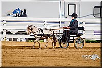 4H-District-16-0183.jpg