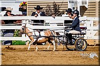 4H-District-16-0188.jpg