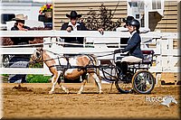 4H-District-16-0189.jpg