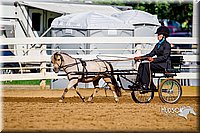 4H-District-16-0200.jpg