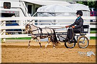 4H-District-16-0201.jpg