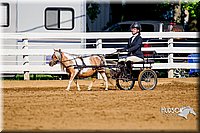 4H-District-16-0207.jpg