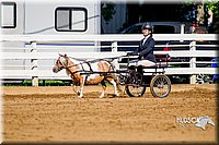 4H-District-16-0208.jpg