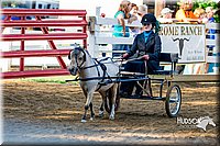 4H-District-16-0209.jpg