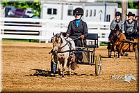 4H-District-16-0210.jpg