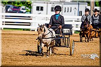 4H-District-16-0211.jpg