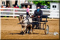 4H-District-16-0212.jpg