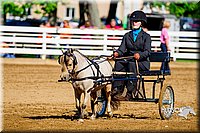 4H-District-16-0213.jpg