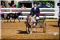 4H-District-16-0216.jpg