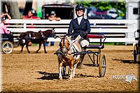 4H-District-16-0217.jpg