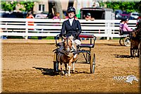 4H-District-16-0218.jpg