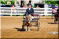 4H-District-16-0219.jpg