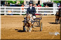 4H-District-16-0220.jpg