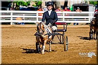 4H-District-16-0221.jpg