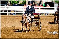 4H-District-16-0222.jpg