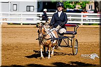 4H-District-16-0223.jpg