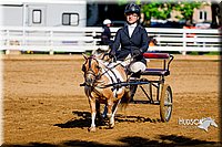 4H-District-16-0224.jpg