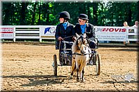 4H-District-16-0225.jpg