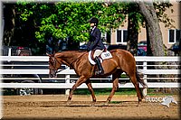 4H-District-16-0231.jpg