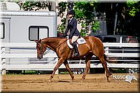 4H-District-16-0233.jpg