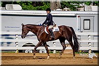 4H-District-16-0237.jpg