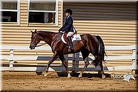 4H-District-16-0240.jpg