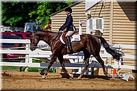 4H-District-16-0242.jpg