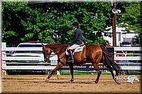 4H-District-16-0246.jpg