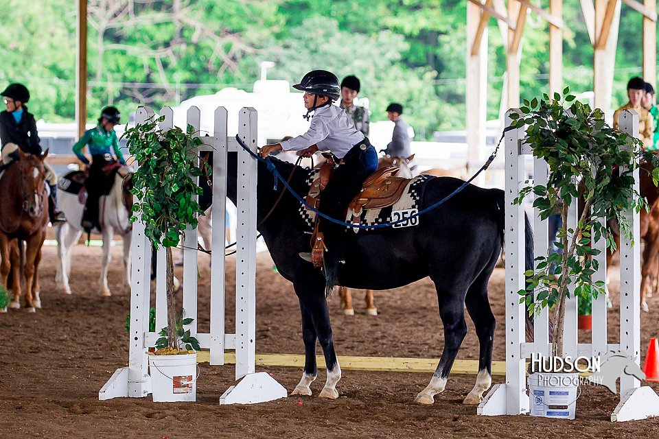 4H-District-16-0420.jpg