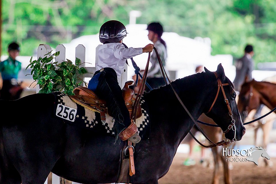 4H-District-16-0423.jpg