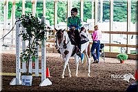 4H-District-16-0365.jpg