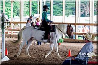 4H-District-16-0366.jpg