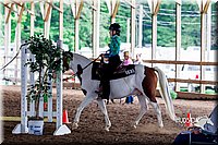 4H-District-16-0370.jpg