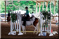 4H-District-16-0371.jpg
