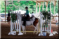 4H-District-16-0371.jpg