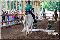 4H-District-16-0385.jpg