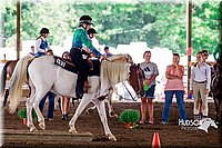 4H-District-16-0390.jpg