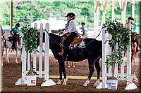 4H-District-16-0419.jpg