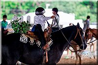 4H-District-16-0423.jpg