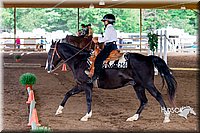 4H-District-16-0438.jpg