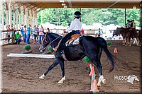 4H-District-16-0439.jpg