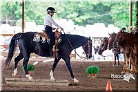 4H-District-16-0441.jpg