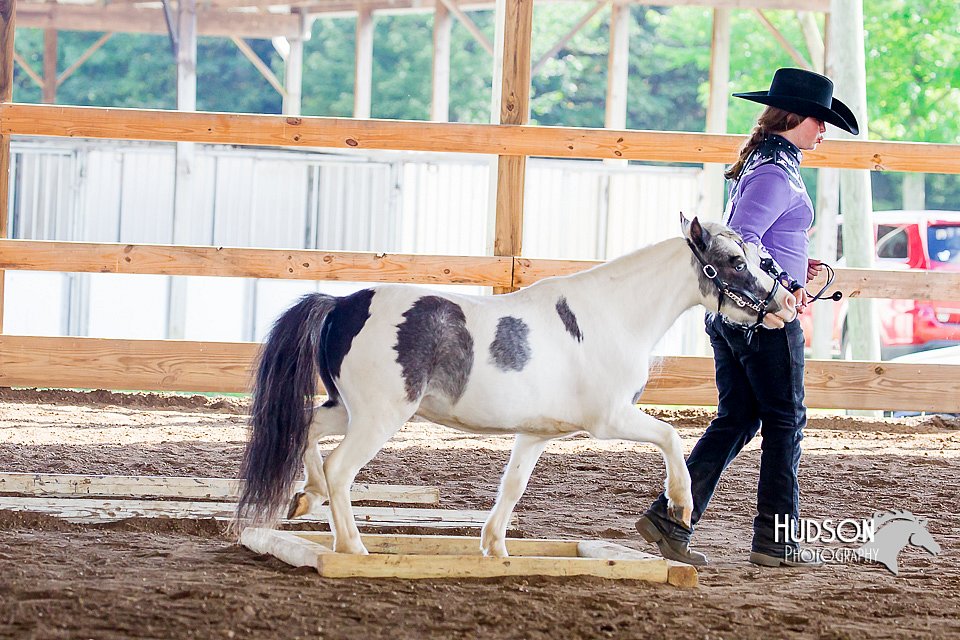 4H-District-16-0564.jpg