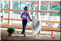 4H-District-16-0528.jpg