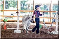 4H-District-16-0533.jpg