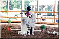 4H-District-16-0535.jpg