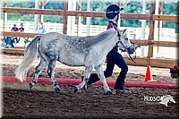 4H-District-16-0536.jpg