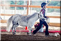 4H-District-16-0540.jpg