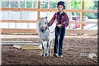 4H-District-16-0546.jpg