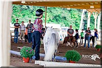 4H-District-16-0547.jpg